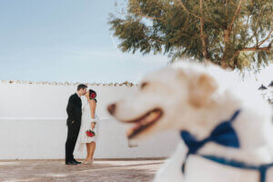 Reportaje De Boda En Ibiza 62